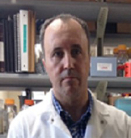 Omar Hamarsheh